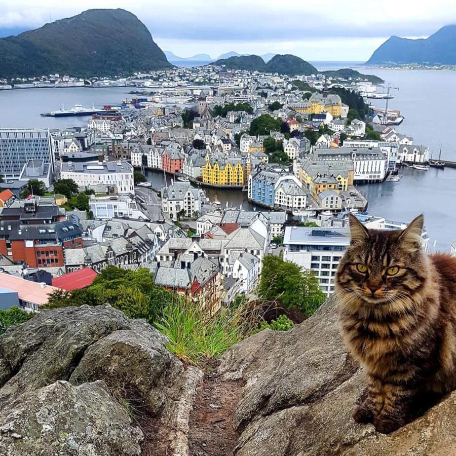 Alesund Apartment With Free Parking Esterno foto